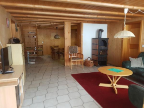 Chalet mit Alpenambiente Axalp